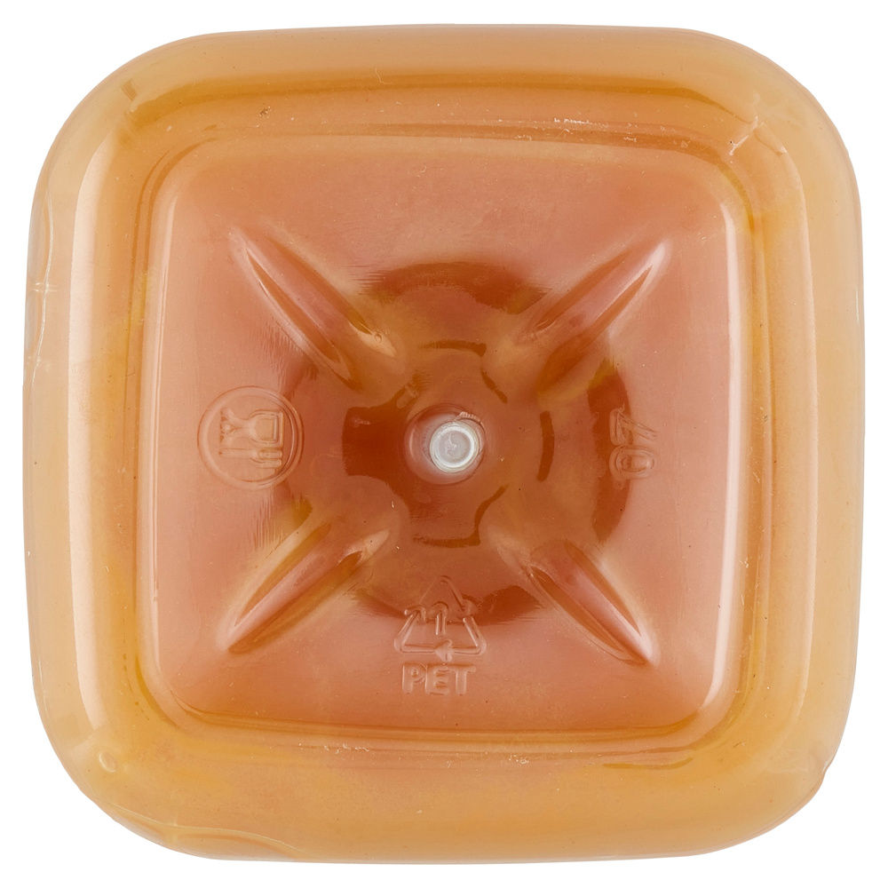 NETTARE PESCA YOGA PET CLASSICO L 1 - 3
