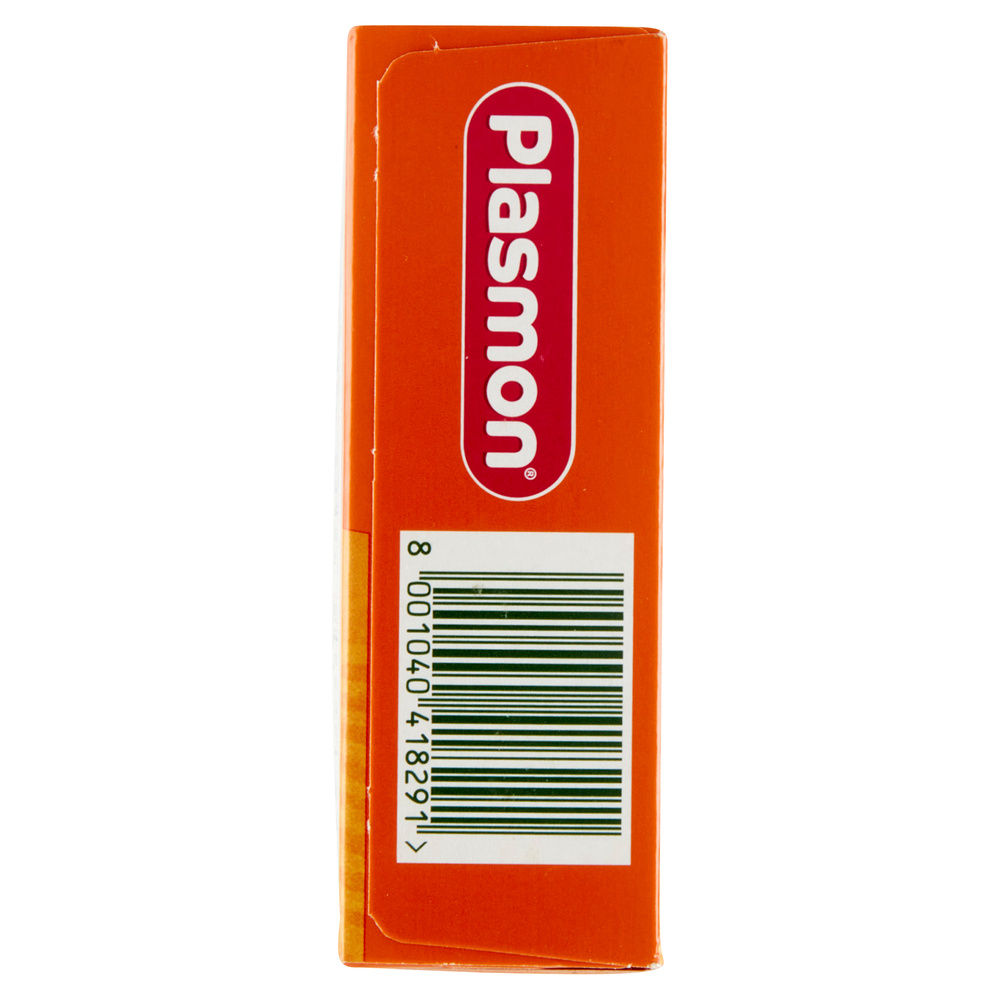 BISCOTTI PLASMON SCATOLA G 120 - 2