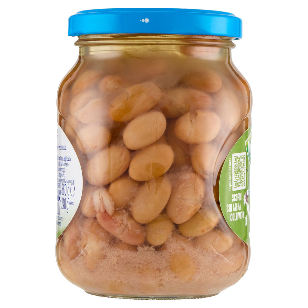 FAGIOLI BORLOTTI VALFRUTTA VV. G360 SGOCC.G240 - 2