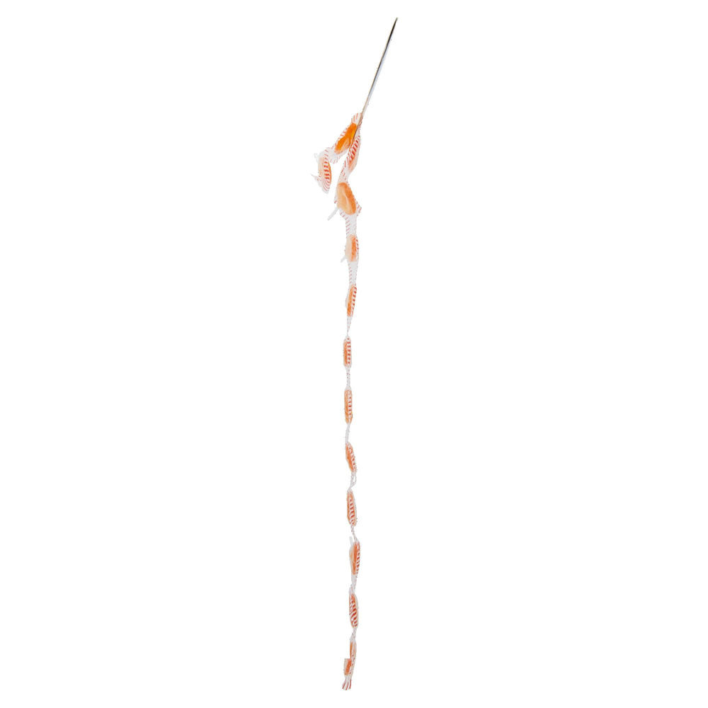 STRISCIA DA 12 LECCA A MONETINA ALLA FRUTTA LONGSWEET GR 100 - 2