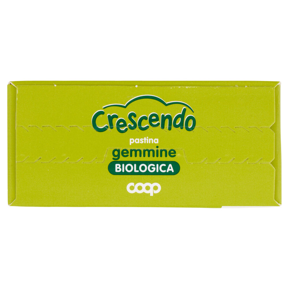 PASTINA DI SEMOLA DI GRANO DURO BIO GEMMINE COOP CRESCENDO G 320 - 5