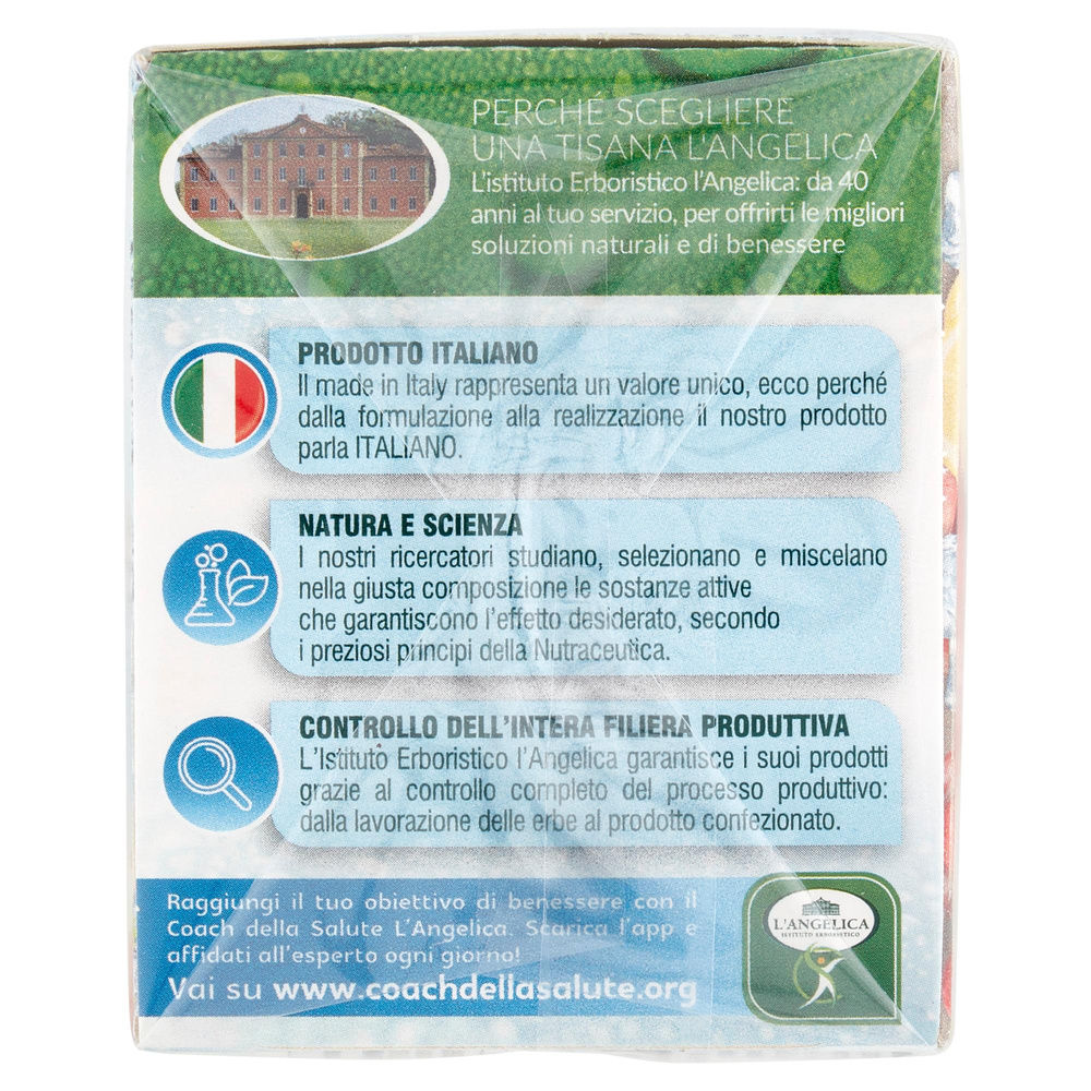 TISANA FREDDA SGONFIANTE DIGESTIVA L'ANGELICA SCATOLA 18FILTRI G 39,6 - 6