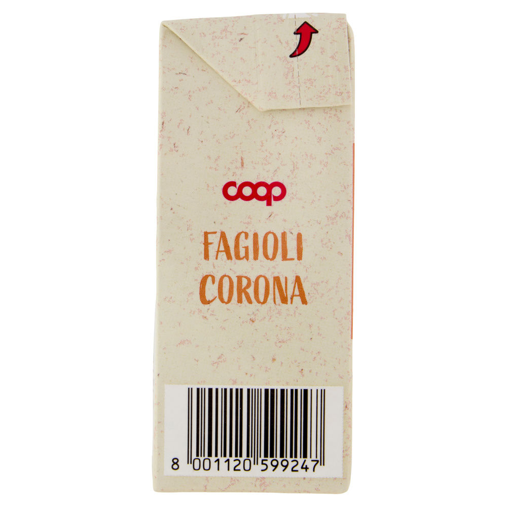 FAGIOLI CORONA COOP BRICK G380 SGOCC. G230 - 14
