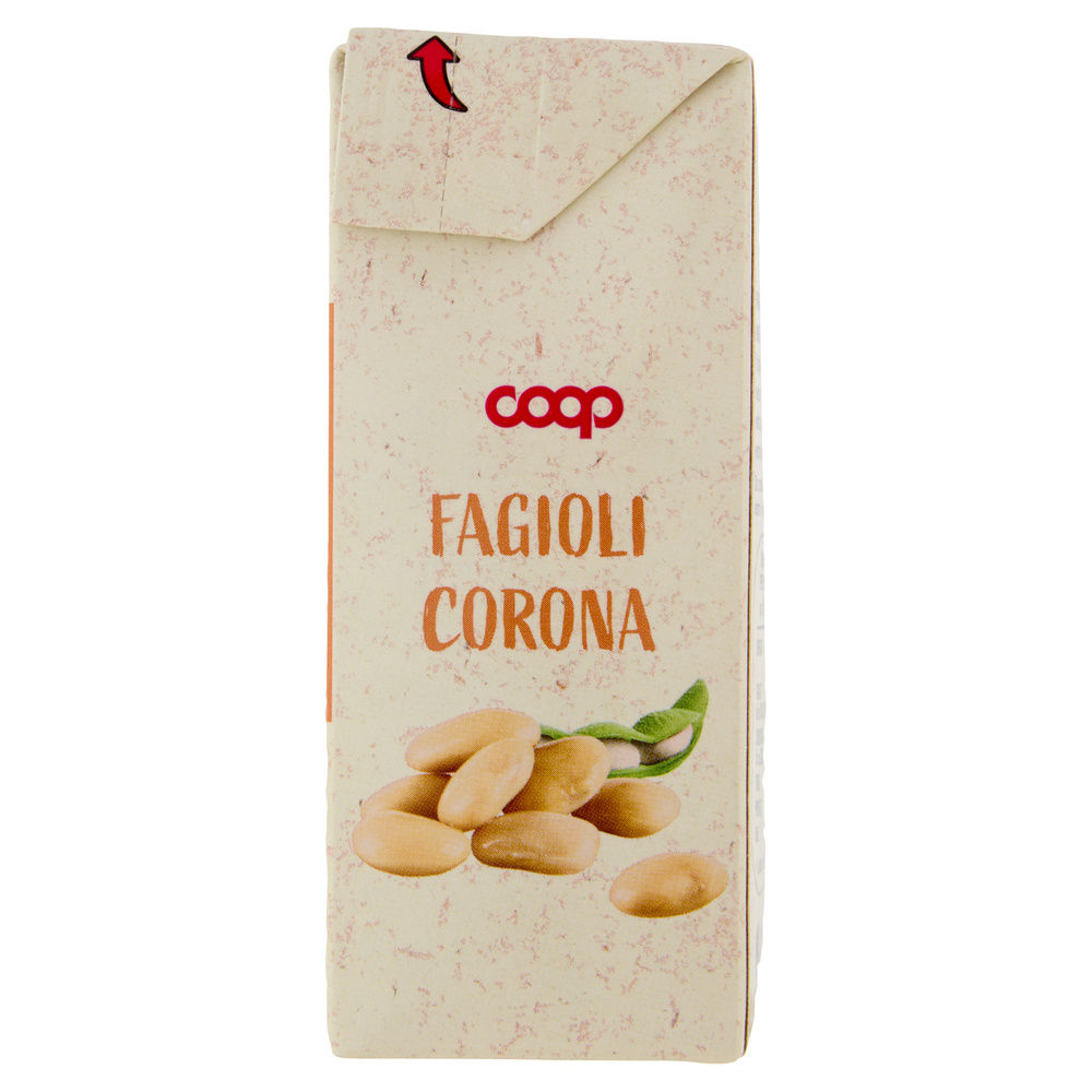 FAGIOLI CORONA COOP BRICK G380 SGOCC. G230 - 12