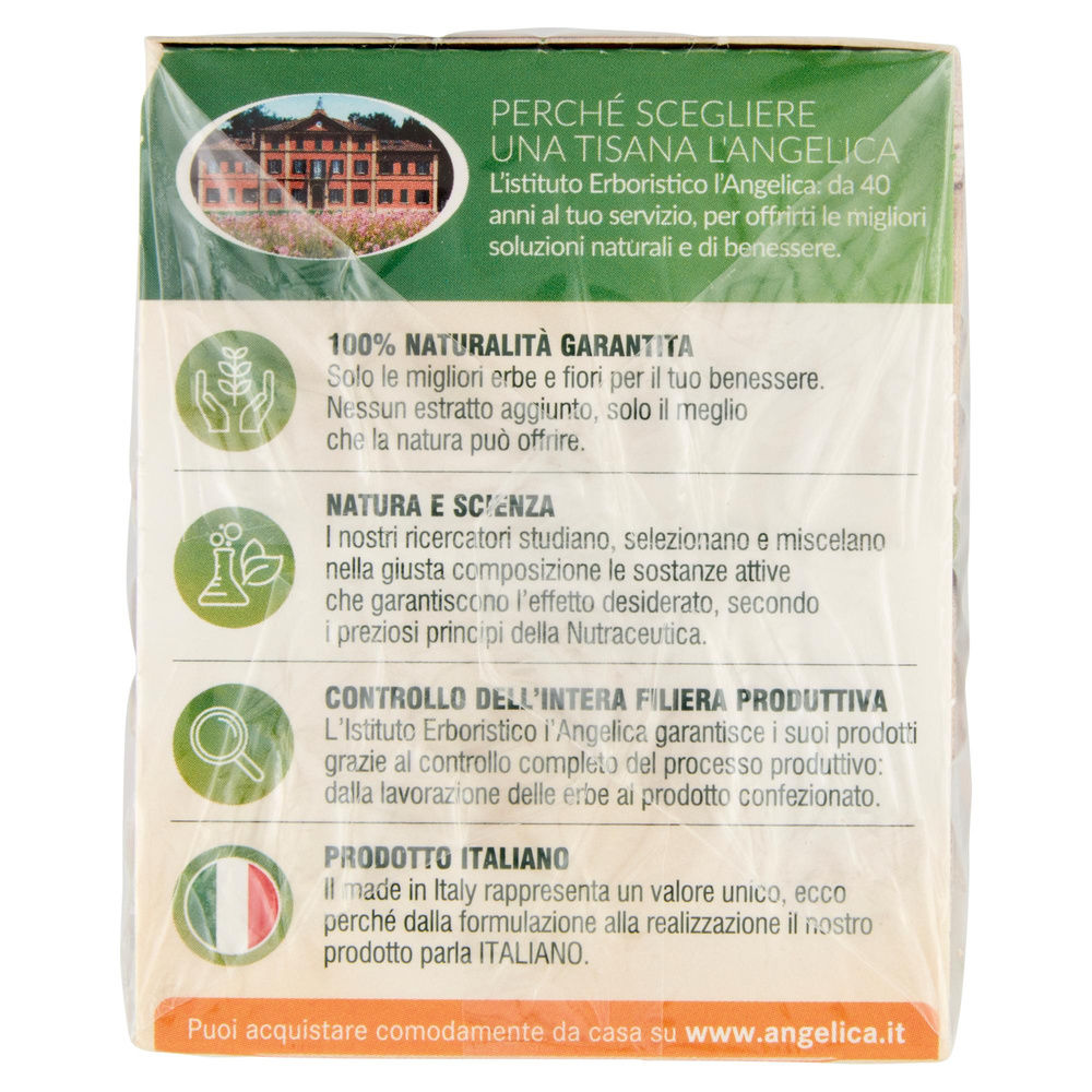 TISANA SUPERFOOD CACAO ARANCIA E CANNELLA L'ANGELICA 18F. G 39,6 - 3