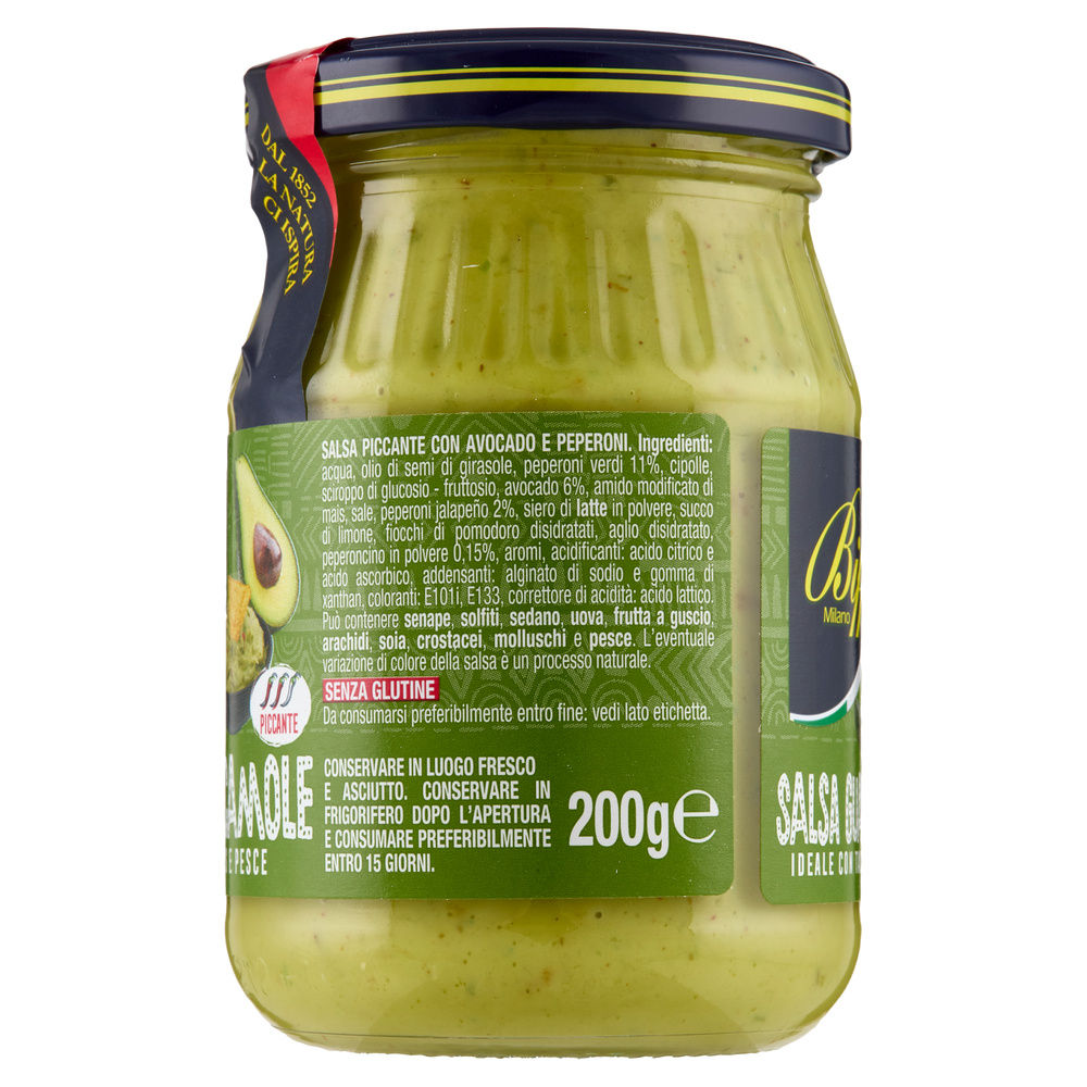 SALSA GUACAMOLE BIFFI G 200 - 2