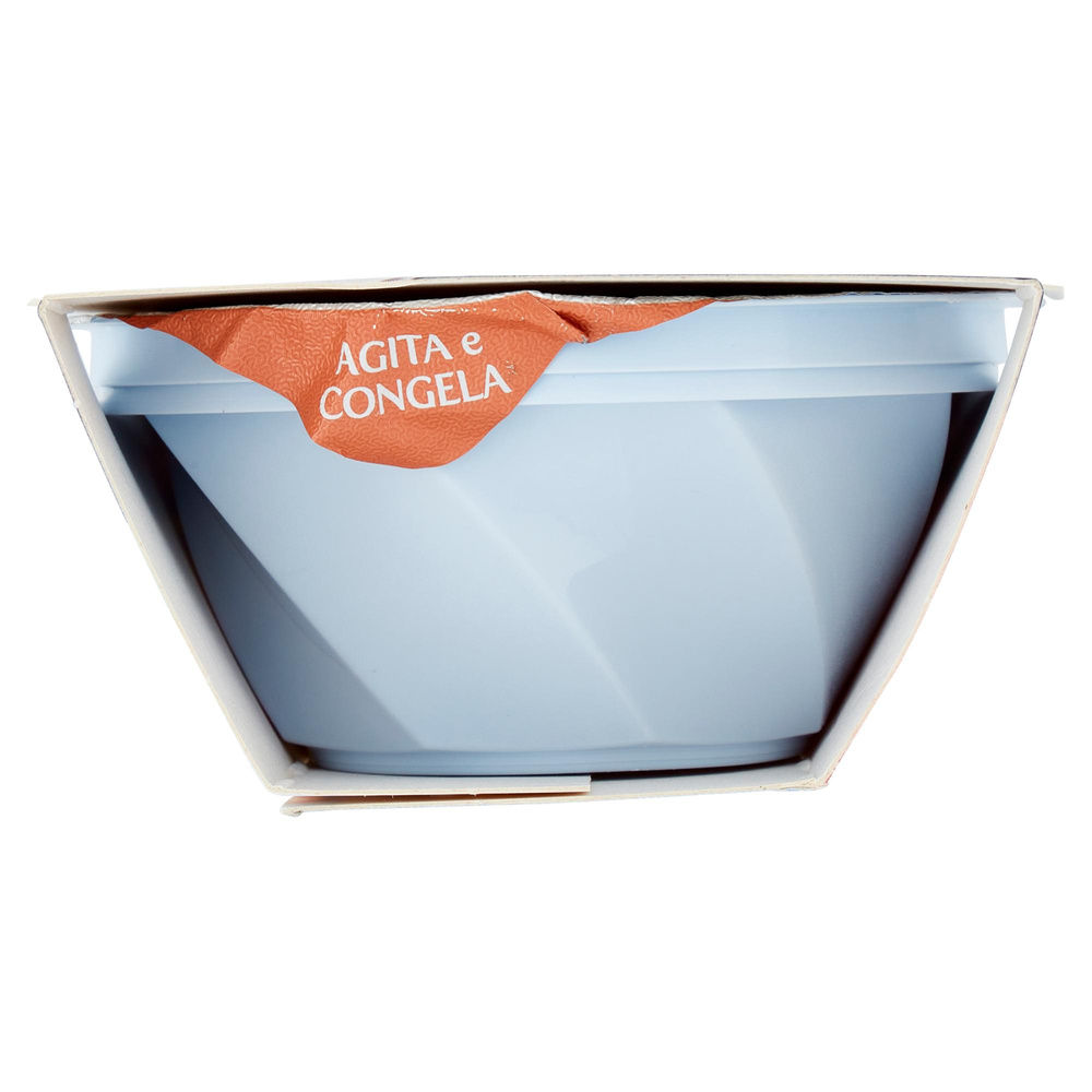 GRANITA MANDORLA SENSO FREDDO DOLFIN ML 200 - 5