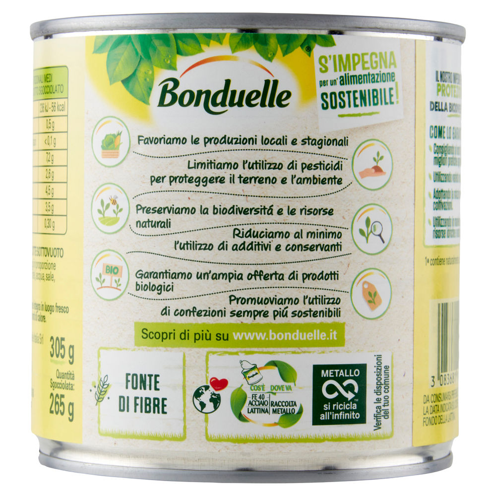 PISELLI E CAROTINE BONDUELLE G 305 - 1