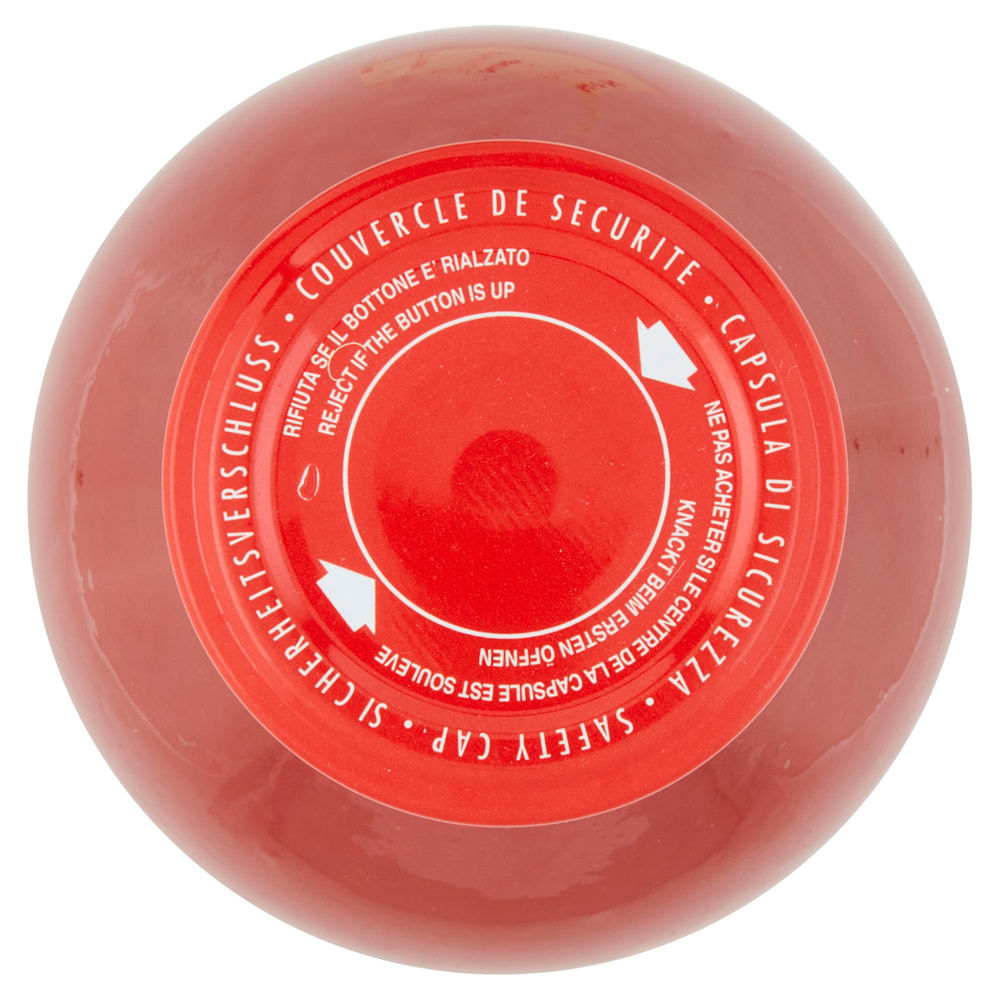PASSATA POMODORO DELICATA LE STAGIONI D'ITALIA VASO VETRO 690G - 6