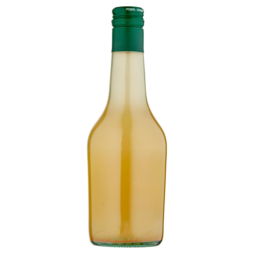 ACETO DI MELE NON FILTRATO VIVI VERDE COOP BIO ML 500 - 1
