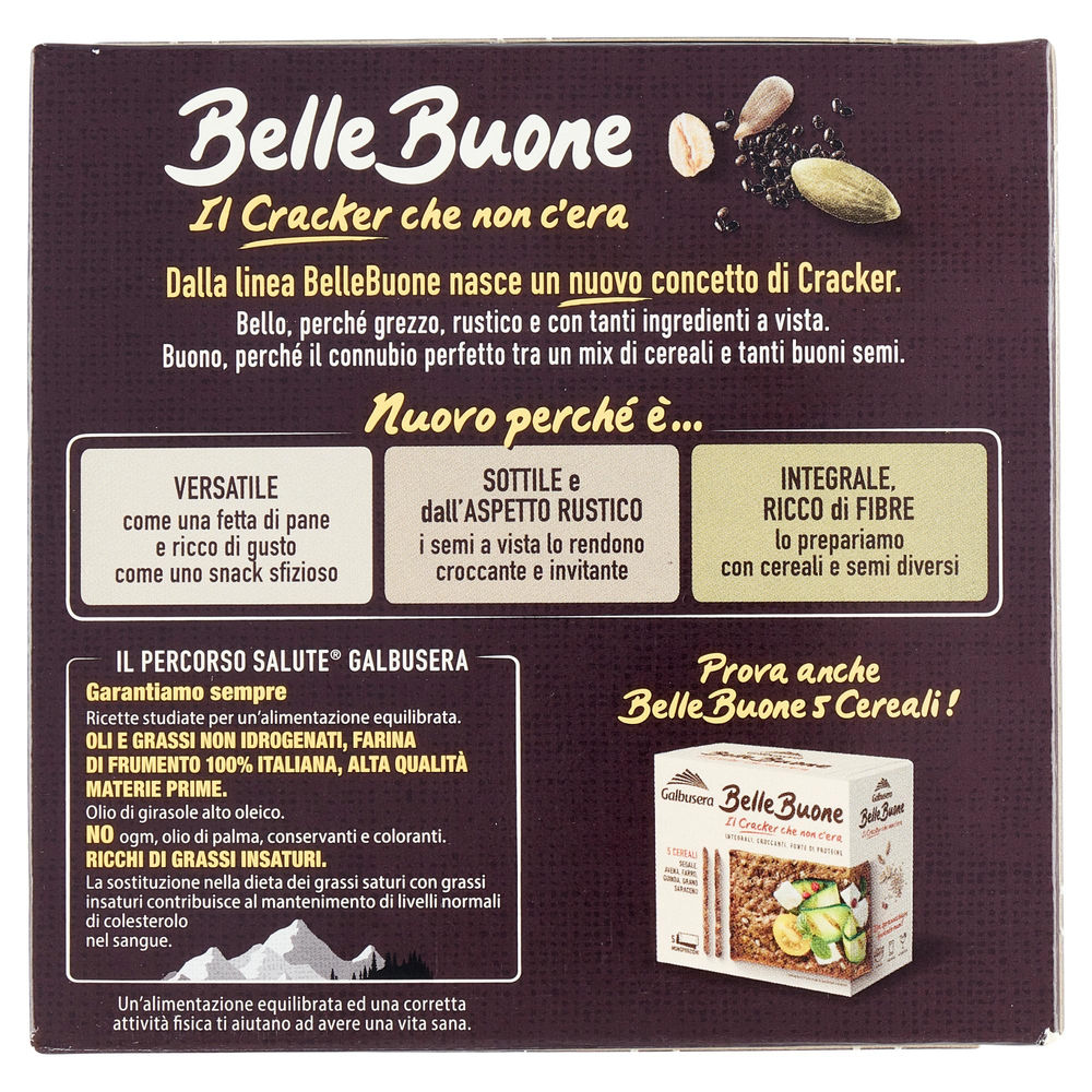 CRACKER AVENA MIX SEMI BELLEBUONE GALBUSERA G 200 - 1
