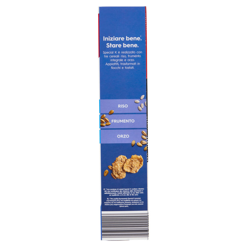 CEREALI SPECIAL K CLASSICO G 450 - 19
