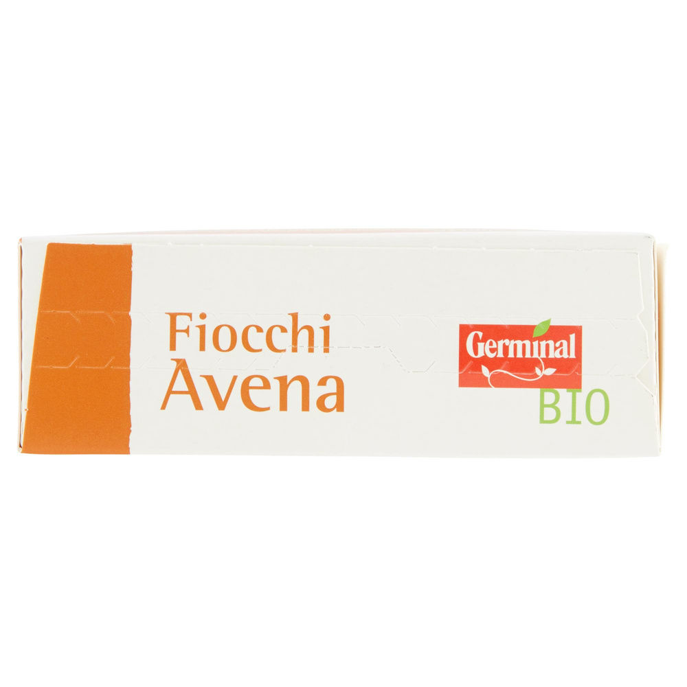 FIOCCHI DI AVENA GERMINAL BIO SCATOLA G 300 - 5