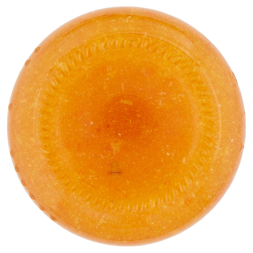 SALSA AL MANDARINO PER FORMAGGI BIFFI V.V. G 100 - 6