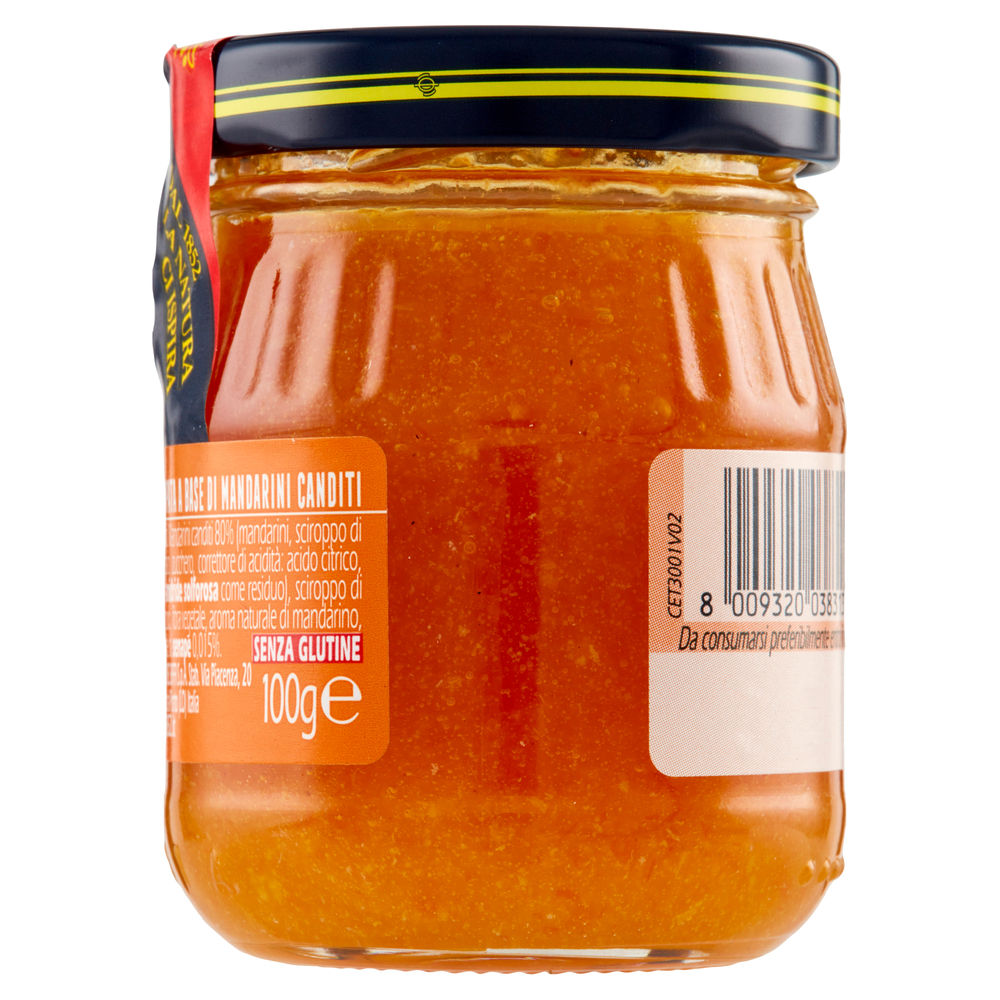 SALSA AL MANDARINO PER FORMAGGI BIFFI V.V. G 100 - 1