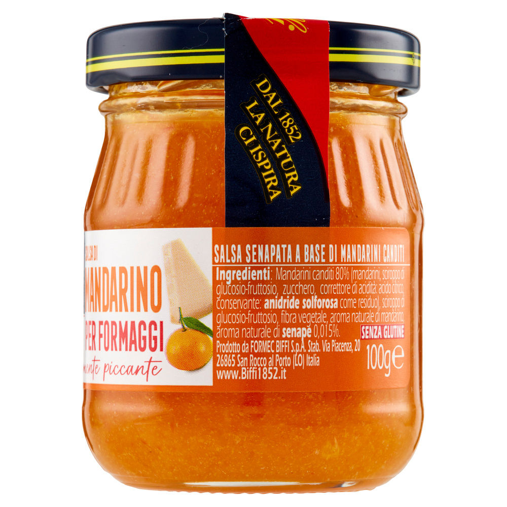 SALSA AL MANDARINO PER FORMAGGI BIFFI V.V. G 100 - 5
