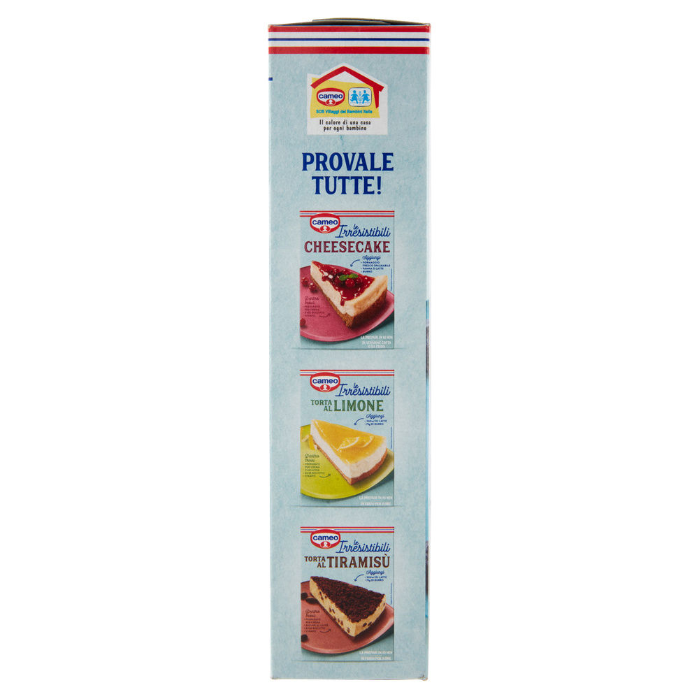 PREPARATO TORTA YOGURT INSTANT CAMEO SCATOLA G 270 - 7