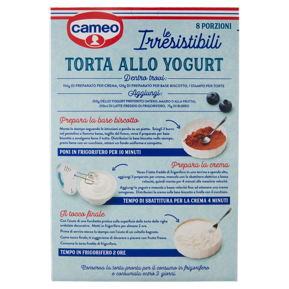 PREPARATO TORTA YOGURT INSTANT CAMEO SCATOLA G 270 - 1