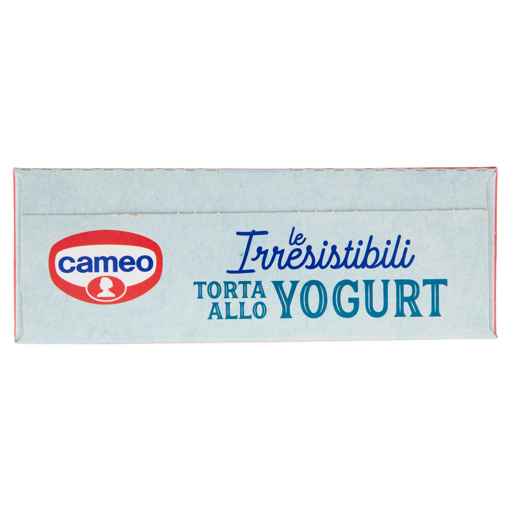 PREPARATO TORTA YOGURT INSTANT CAMEO SCATOLA G 270 - 5