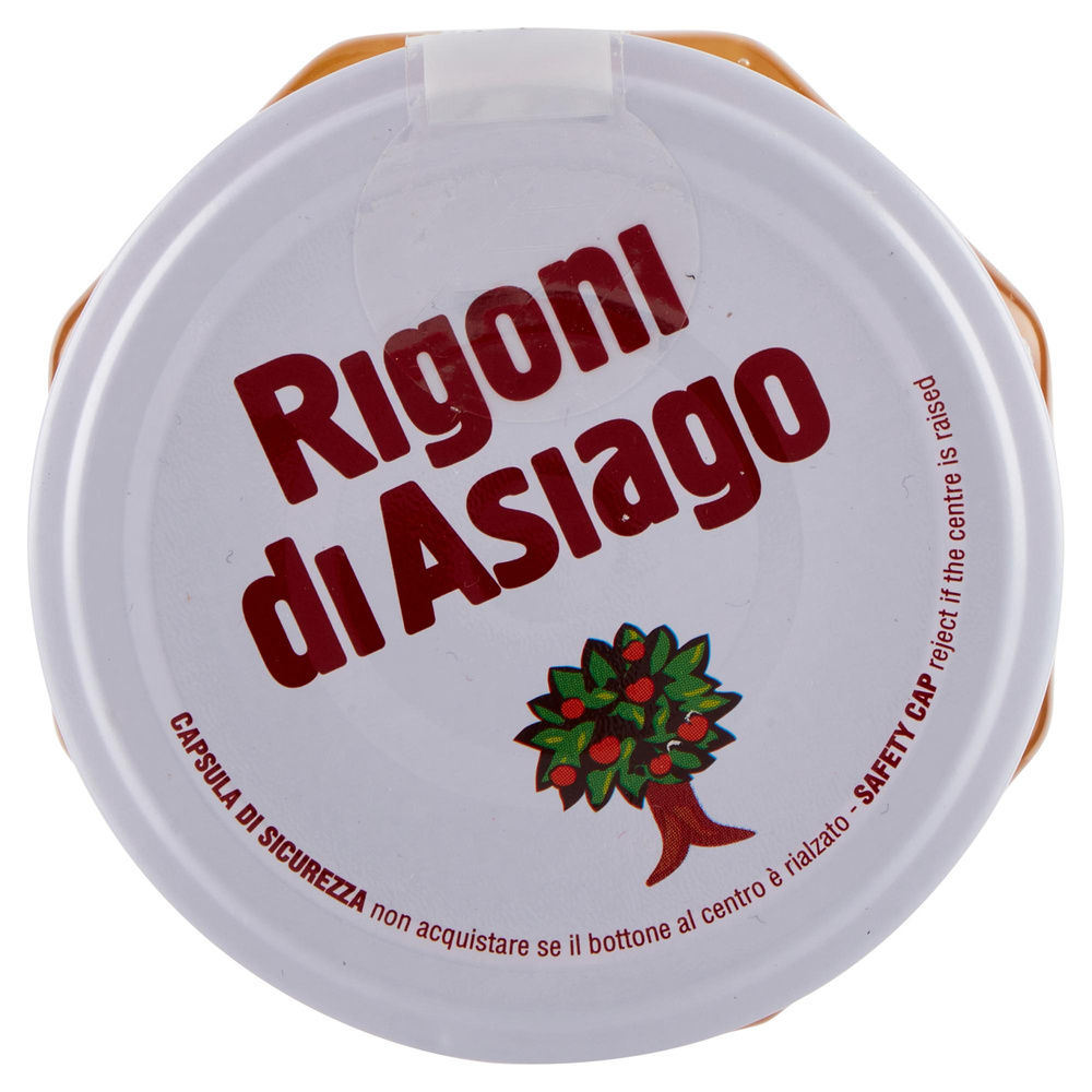 FIORDIFRUTTA AGRUMI E ZENZERO BIO RIGONI G 340 - 6