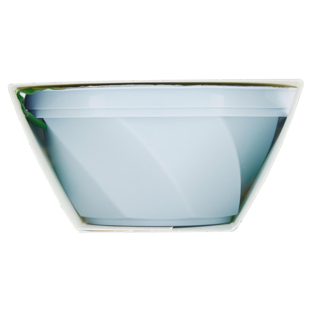 SENSO FREDDO GRANITA MENTA DOLFIN ML 200 - 5