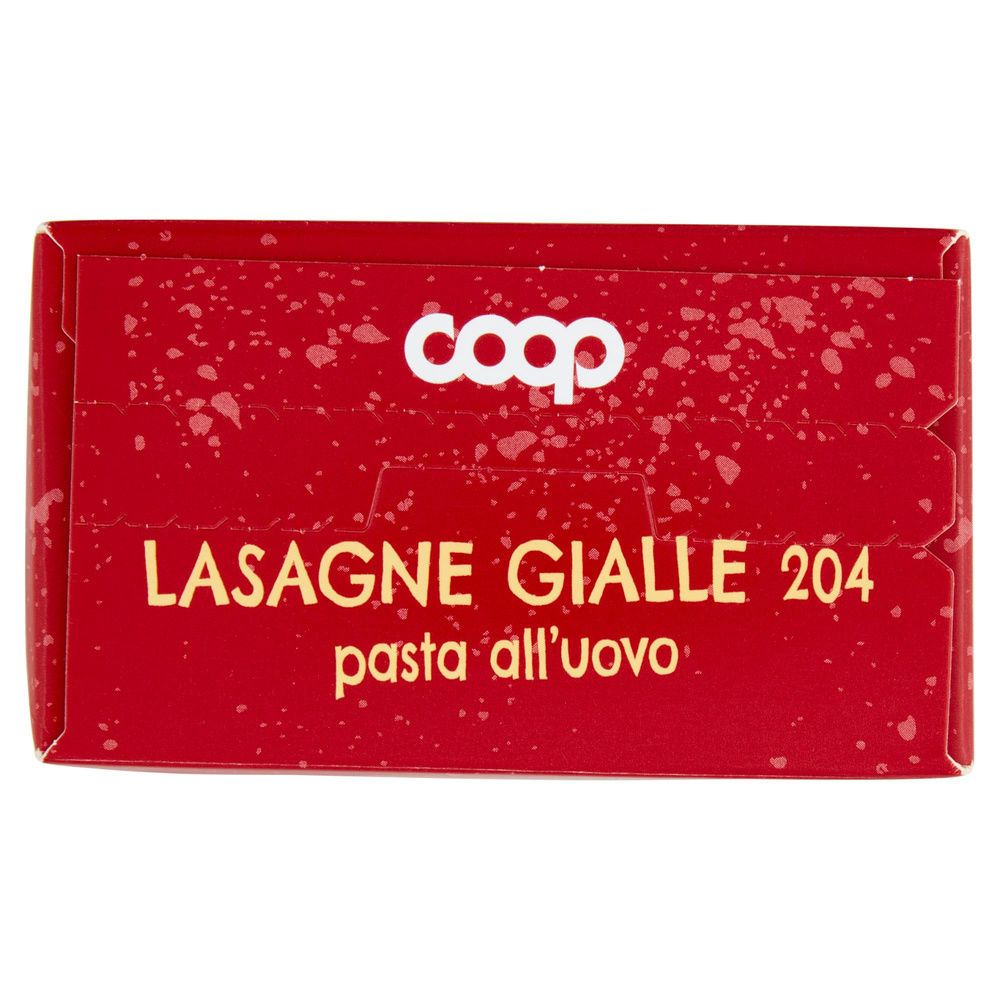 LASAGNE GIALLE ALL'UOVO SENZA USO DI ANTIBIOTICI COOP G 500 - 8