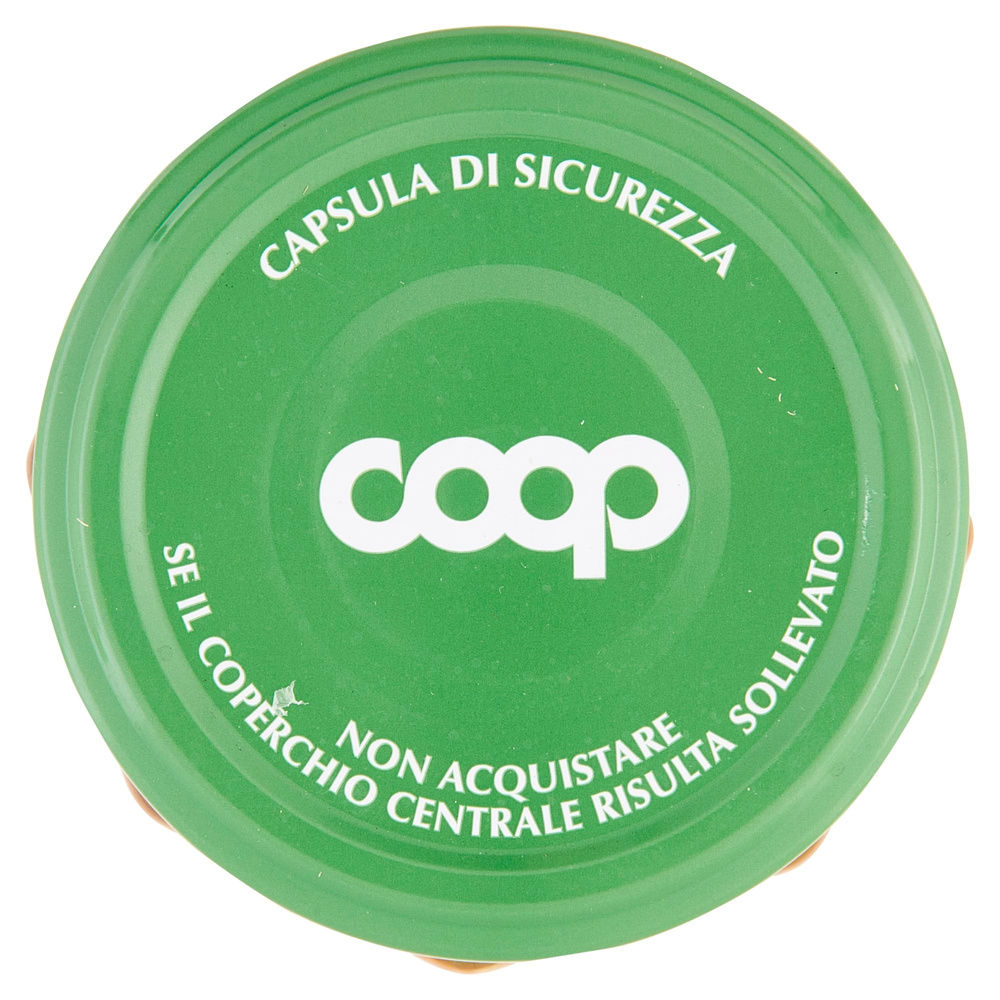 PREPARATO DI PESCA BIOLOGICO VIVI VERDE COOP VASO VETRO G 330 - 3