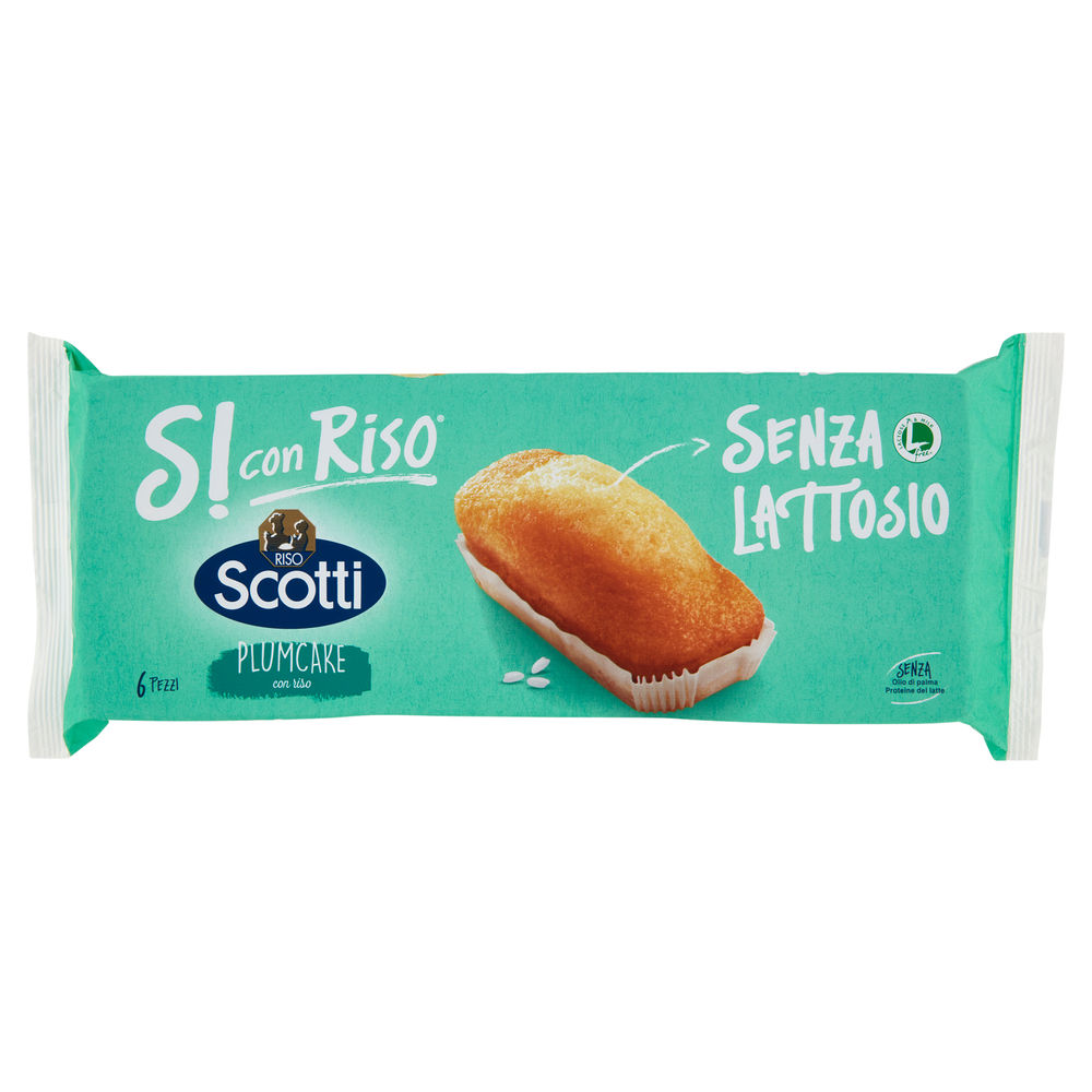 Plumcake con riso scotti senza lattosio g 190