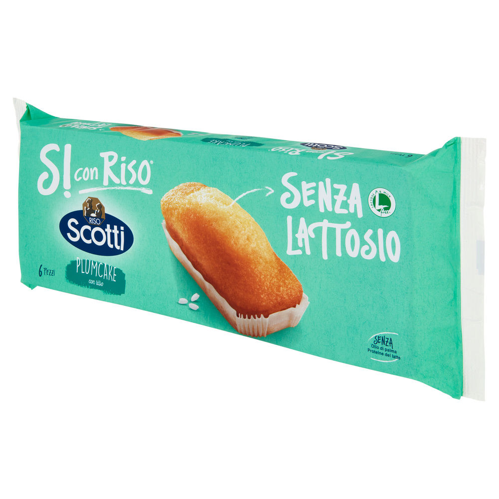 PLUMCAKE CON RISO SCOTTI SENZA LATTOSIO G 190 - 8