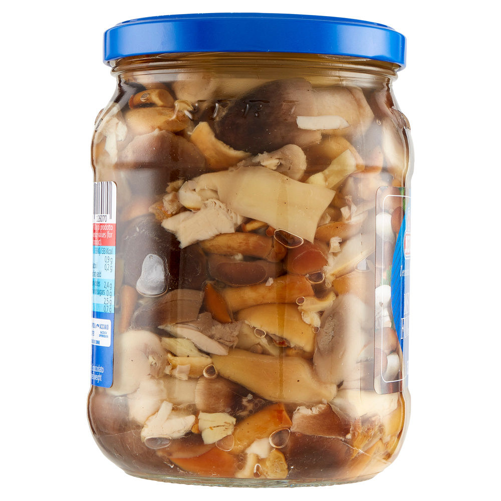 MISTO FUNGHI IN OLIO DI GIRASOLE NERI G750 - 2
