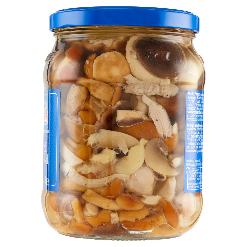 MISTO FUNGHI IN OLIO DI GIRASOLE NERI G750 - 7