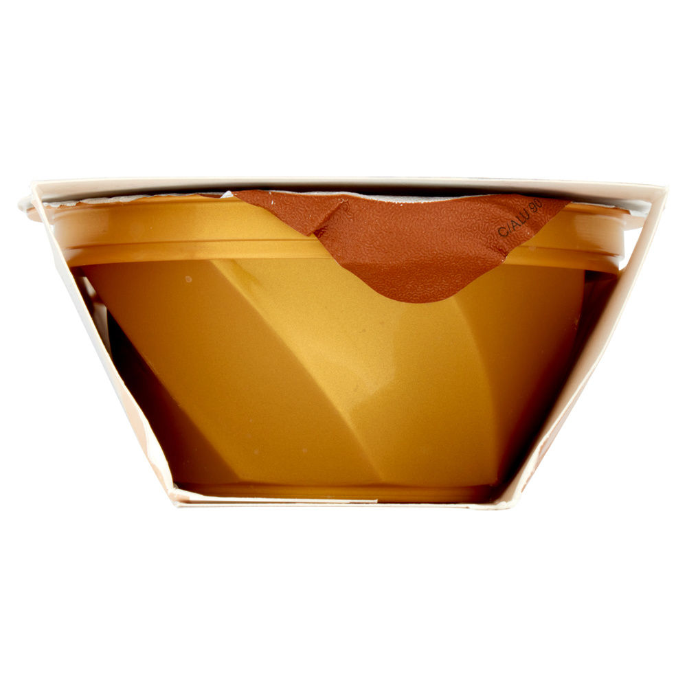 GRANITA CON CAFFE' 100% ARABICA SENSO FREDDO DOLFIN G 200 - 2