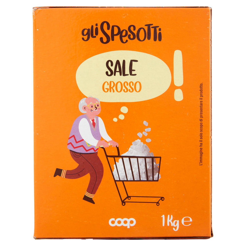 SALE GROSSO GLI SPESOTTI COOP ASTUCCIO KG1 - 3