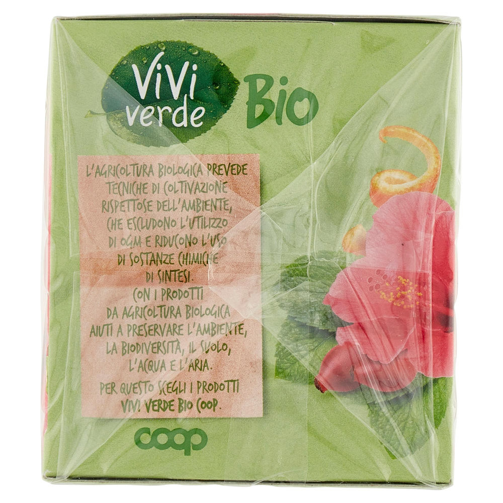 INFUSO FRUTTI MISTI BIO VIVI VERDE COOP 20 FILTRI SCATOLA G 60 - 6