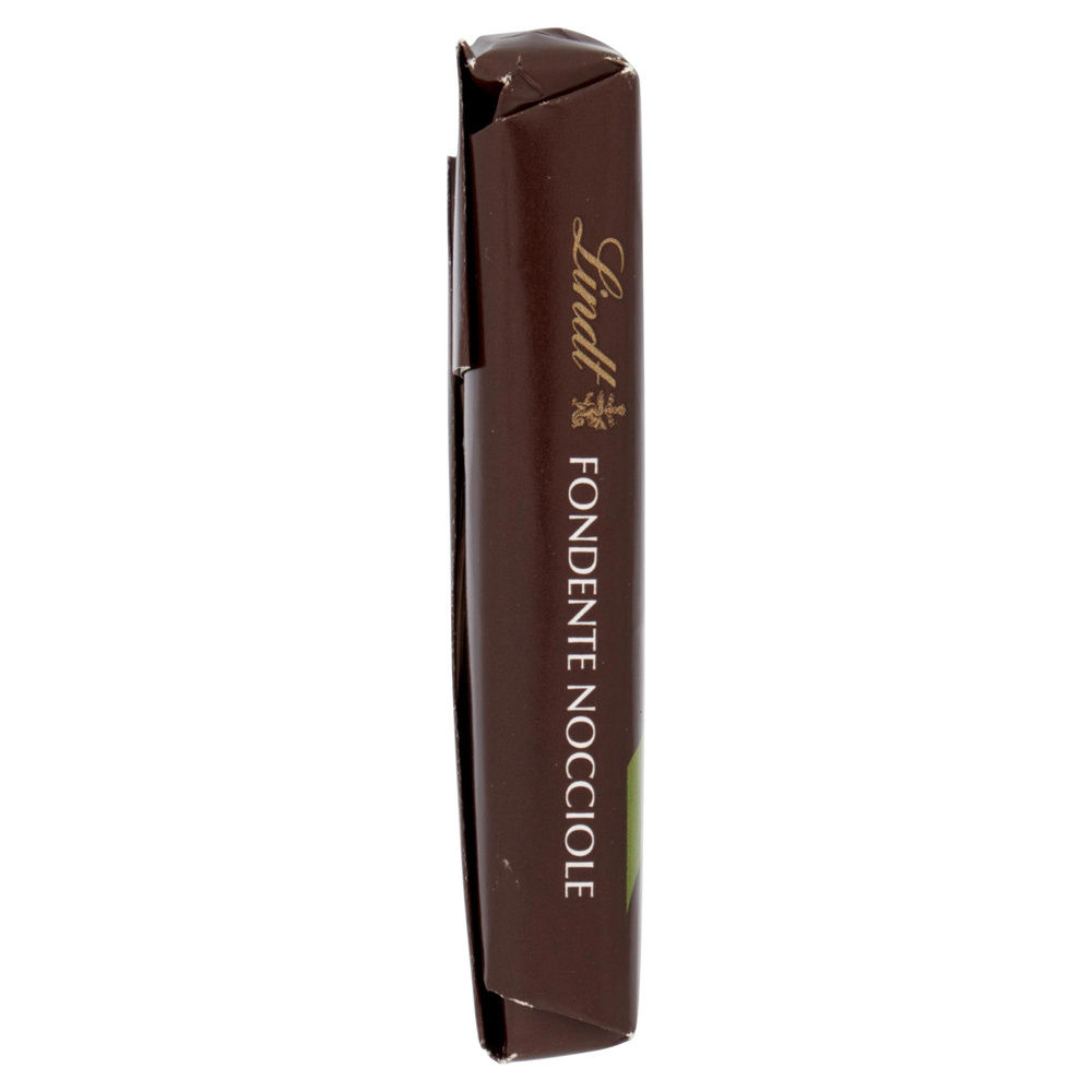TAVOLETTA CIOCCOLATO LINDT FONDENTE NOCCIOLE  INCARTO G100 - 4