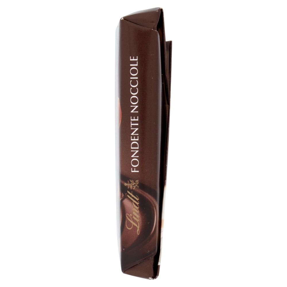 TAVOLETTA CIOCCOLATO LINDT FONDENTE NOCCIOLE  INCARTO G100 - 6