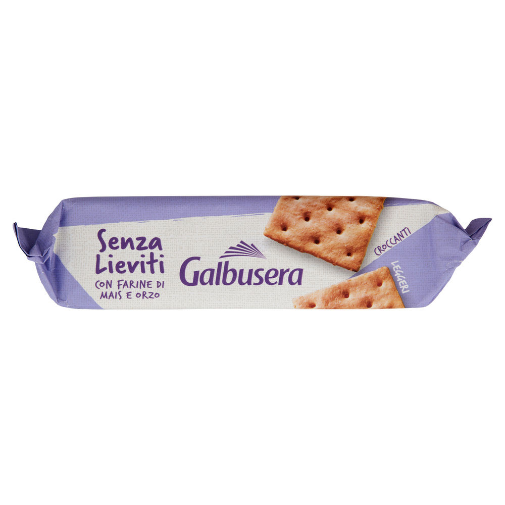 CRACKER BUONICOSI' SENZA LIEVITI GALBUSERA G 300 - 2