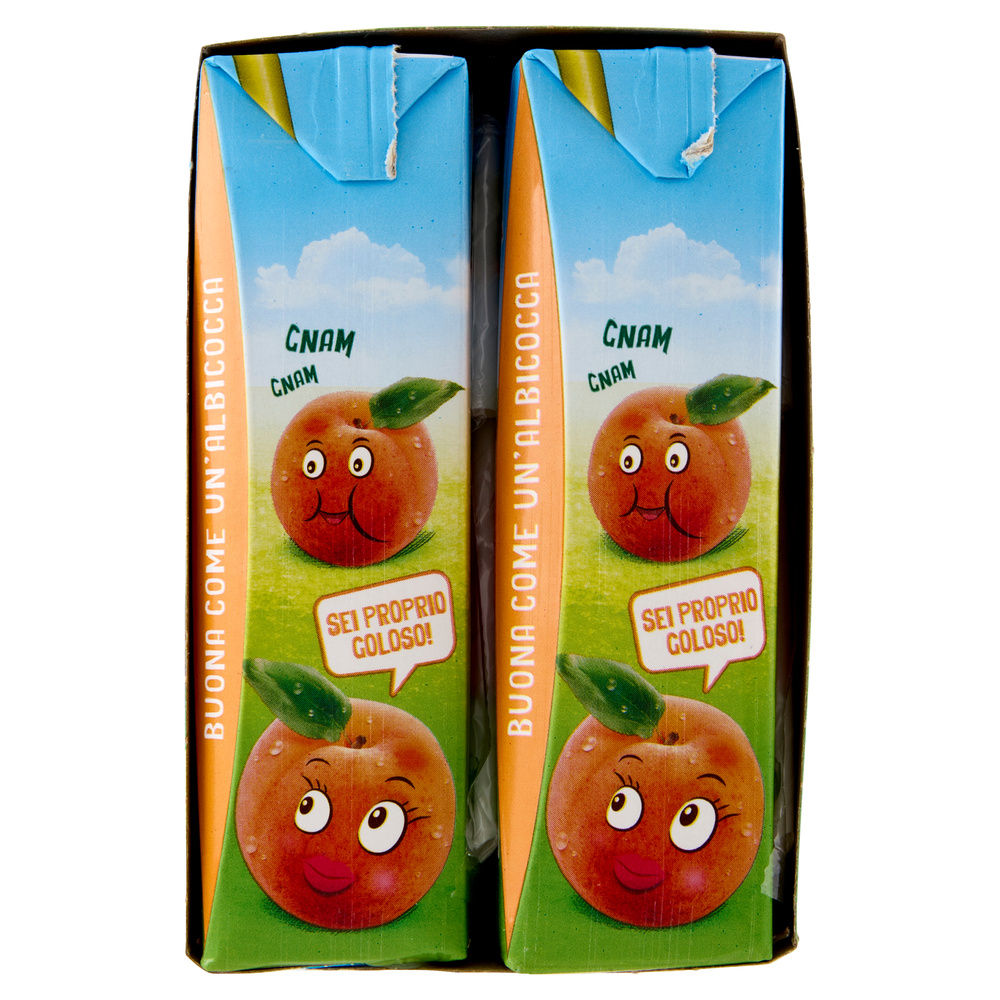 SUCCO E POLPA ALBICOCCA VALFRUTTA CLUSTER ML 200 X 6 - 5