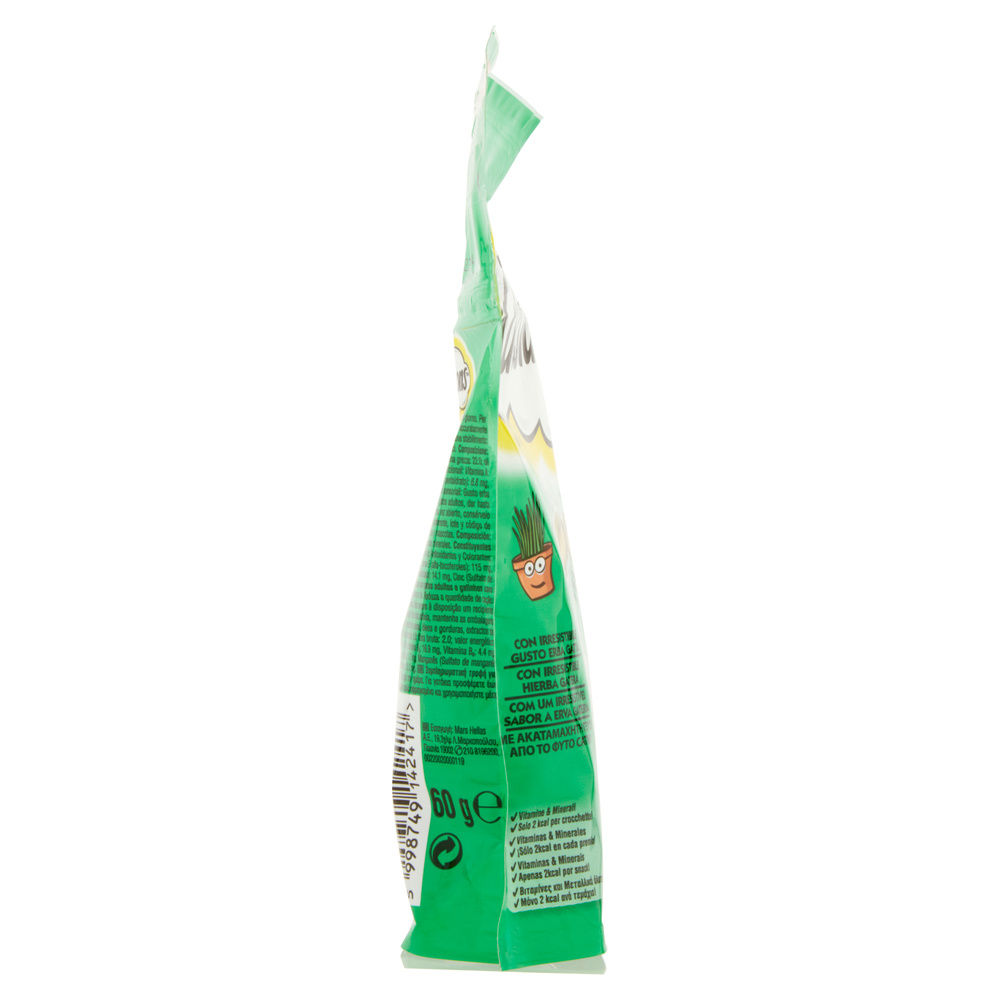 SNACK CATISFACTIONS ERBA GATTA G 60 - 7