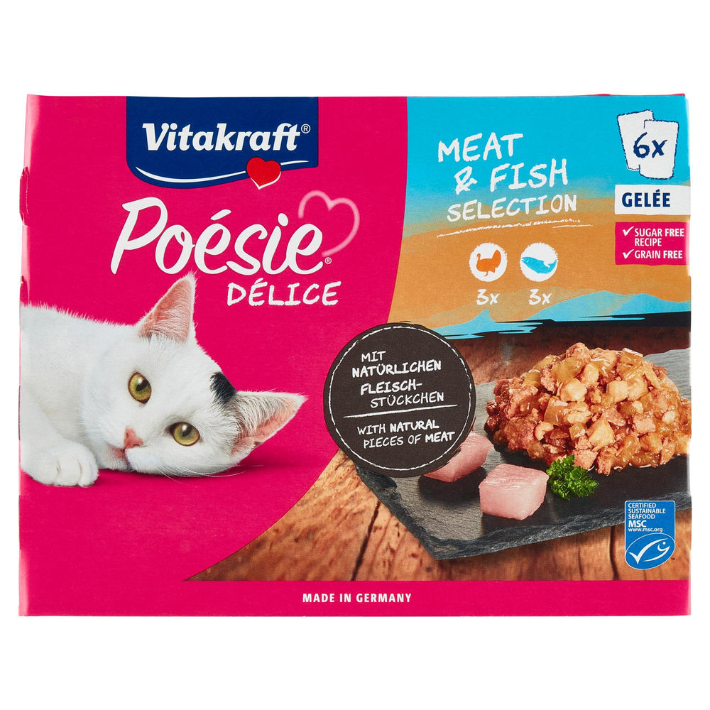 UMIDO GATTO POÉSIE©DÉLICEGELEE TAGG+SALM VIT. G85X6 - 0