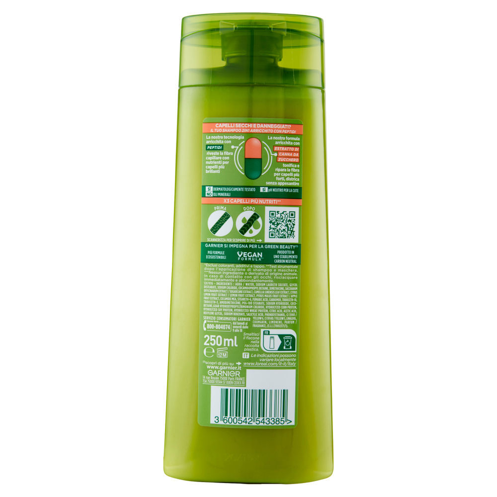 SHAMPOO GARNIER FRUCTIS CAPELLI SECCHI 2 IN 1 ML 250 - 1