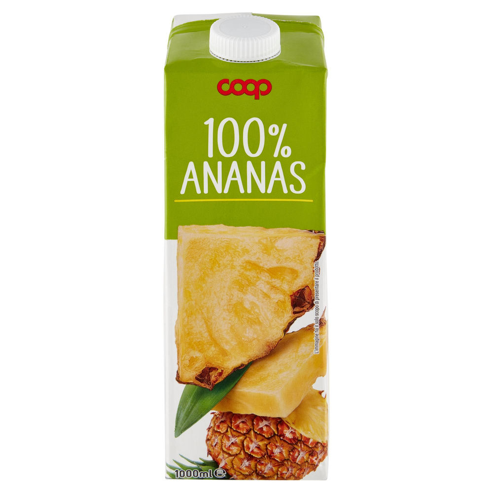 SUCCO 100% ANANAS COOP BRICK L 1 - 2