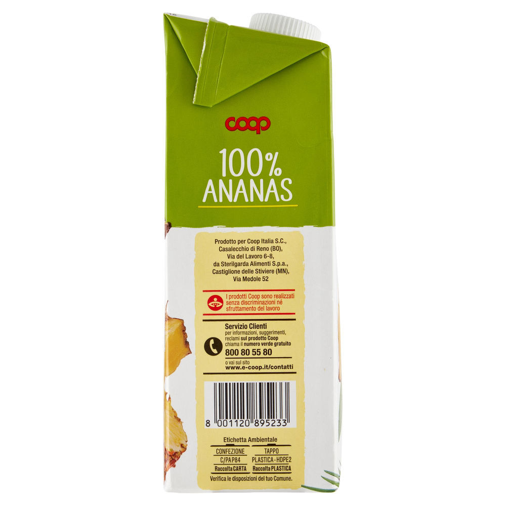 SUCCO 100% ANANAS COOP BRICK L 1 - 4