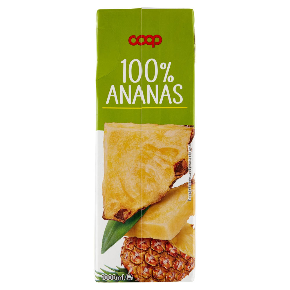 SUCCO 100% ANANAS COOP BRICK L 1 - 1