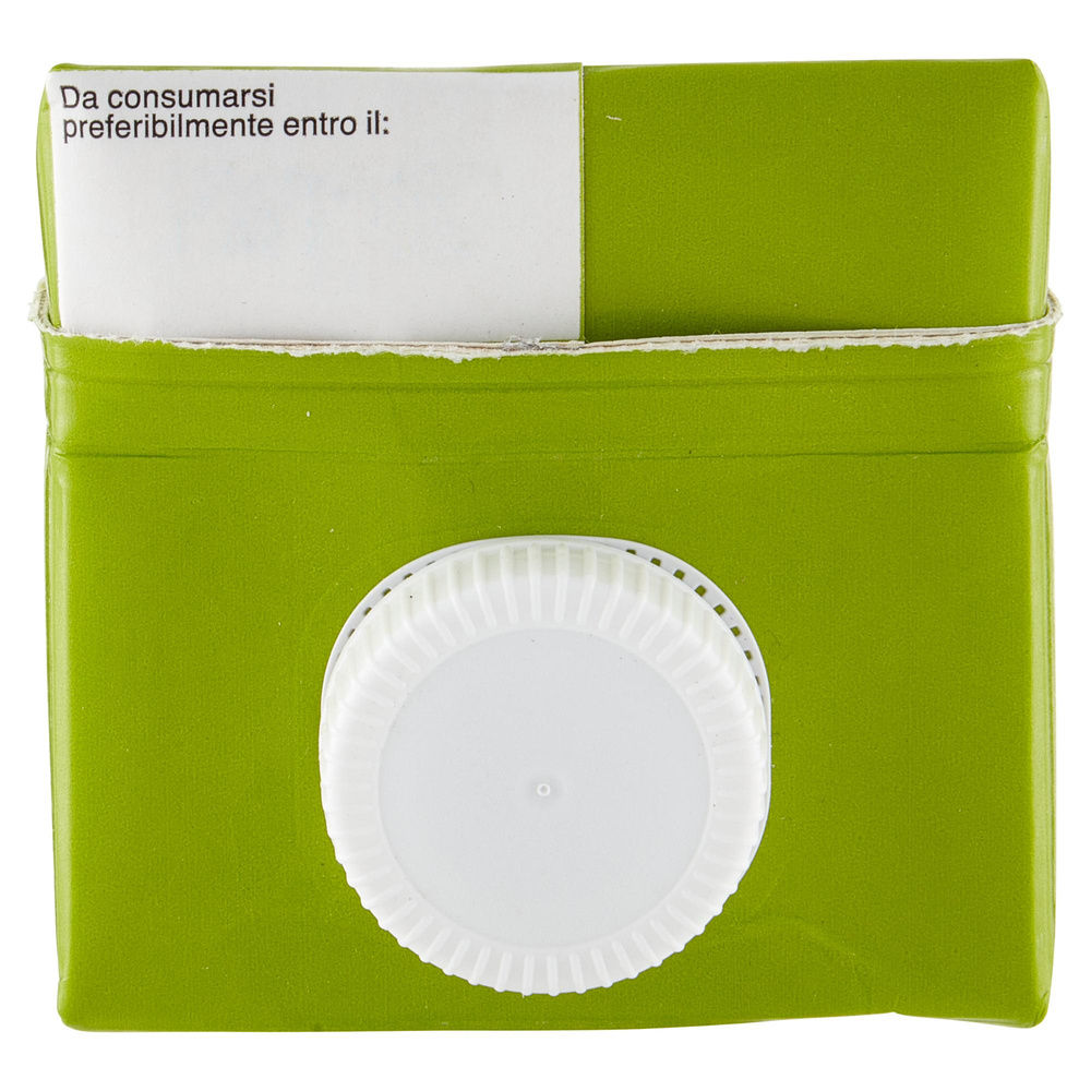 SUCCO 100% ANANAS COOP BRICK L 1 - 6
