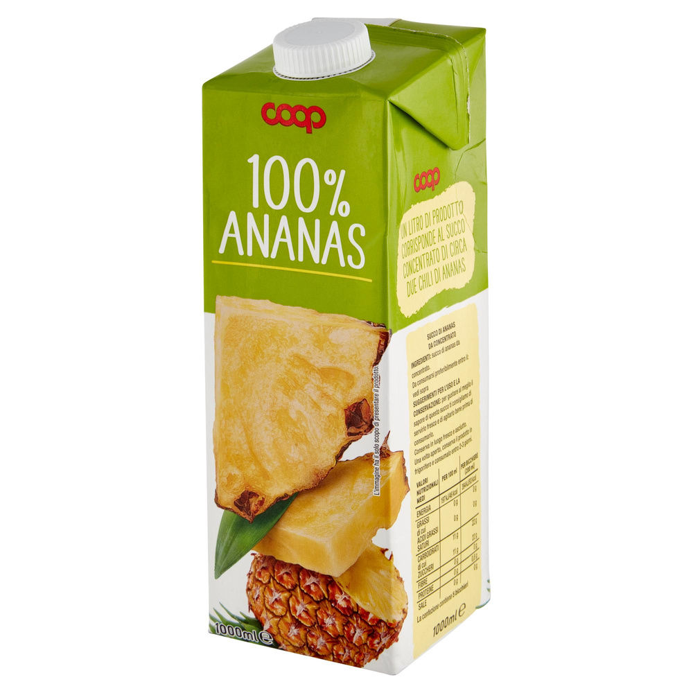 SUCCO 100% ANANAS COOP BRICK L 1 - 8