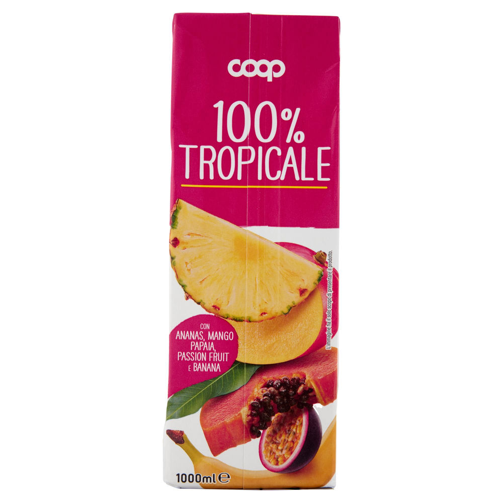 SUCCO 100% TROPICALE COOP BRICK L 1 - 1