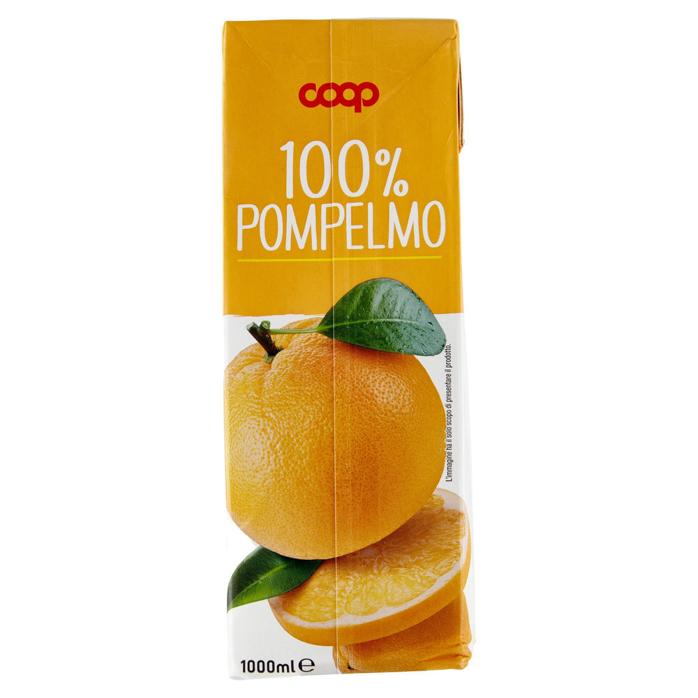 SUCCO 100% POMPELMO COOP BRICK L 1 - 1