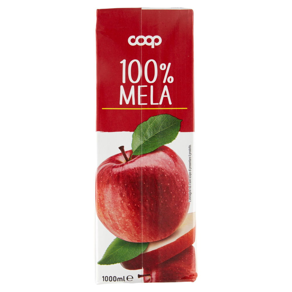 SUCCO 100% MELA COOP BRICK L 1 - 1