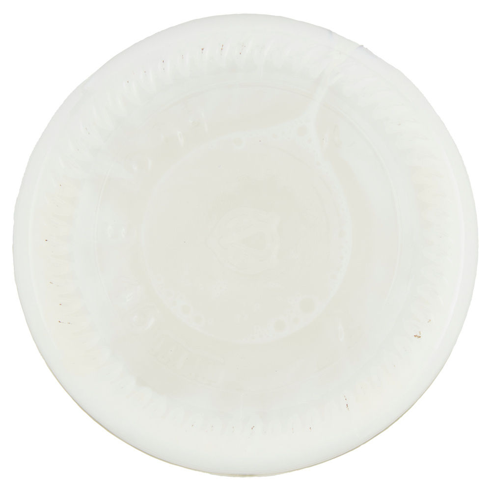 SCIROPPO ORZATA LINEA ZERO + TOSCHI BOTTIGLIA ML 560 - 7